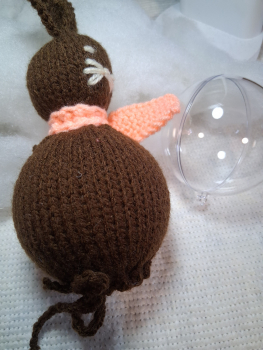 Hase 2