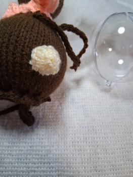 Hase 2