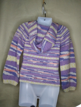 Pullover mit Kapuze