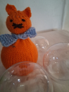 Katze orange